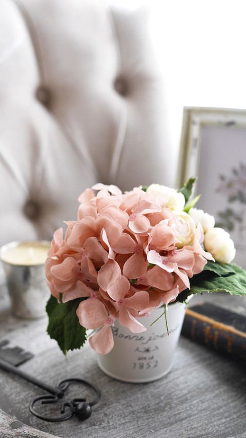 Hydrangea screenshot