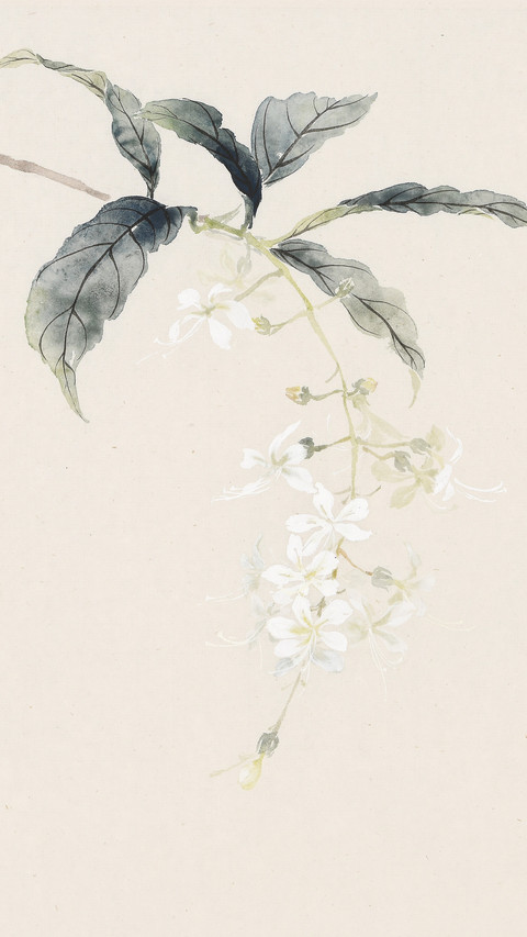 芊芊玉笔画春秋 screenshot