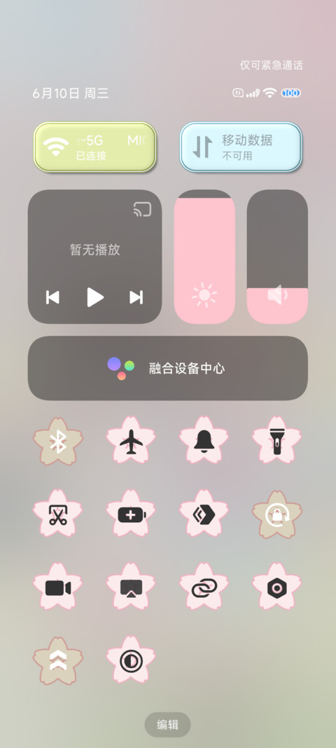 春樱下的并肩时光 screenshot