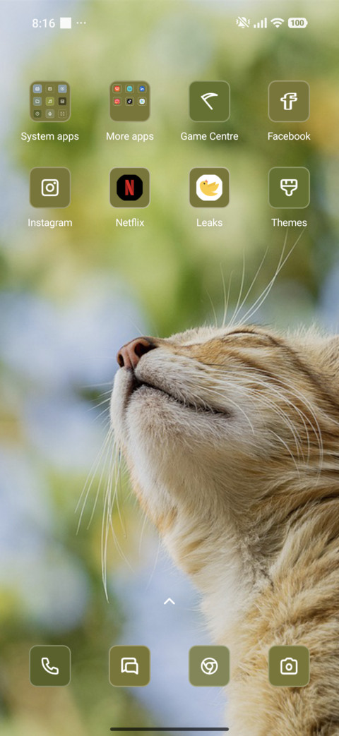 Feline Dreams screenshot