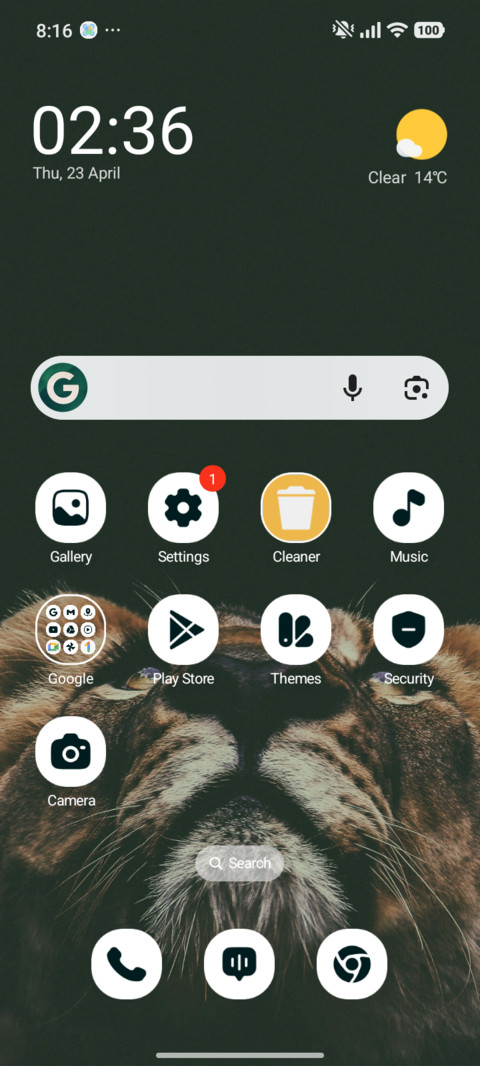 Lion Gaze screenshot