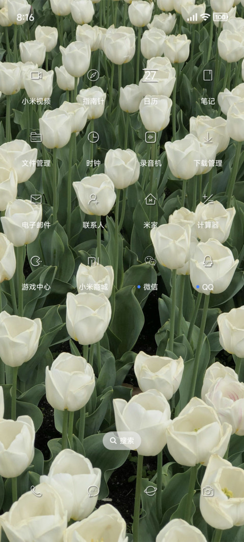 bloom screenshot