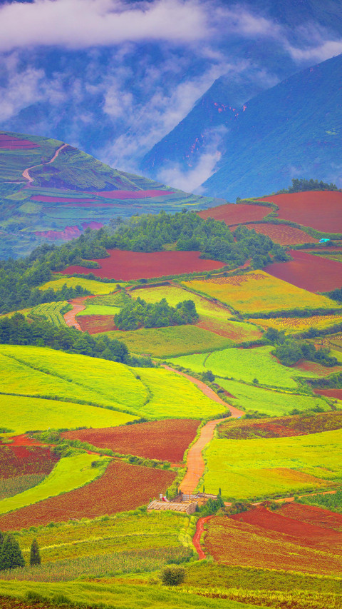 Human palette 86 screenshot