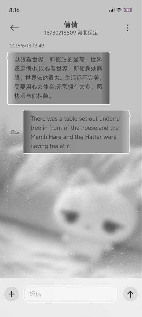ins 雨雾忧郁猫 screenshot