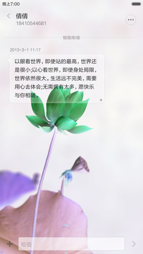 微山湖荷花（高清壁纸) screenshot