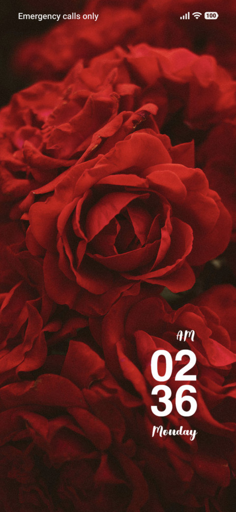 Red Roses screenshot