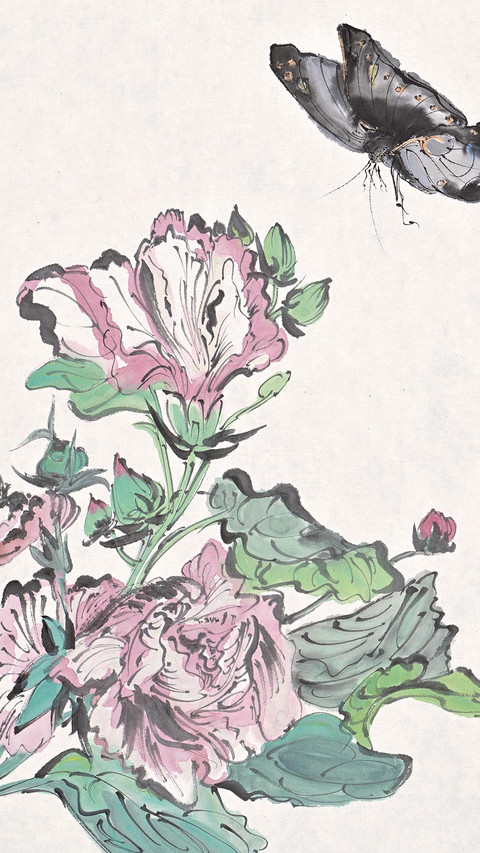 范扬风采 多面能手 screenshot