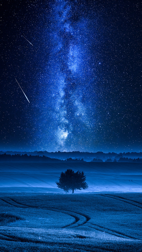 Milky Way and Falling Stars over Filed with One Tree screenshot