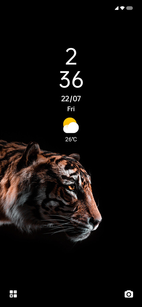 TIGER Y screenshot