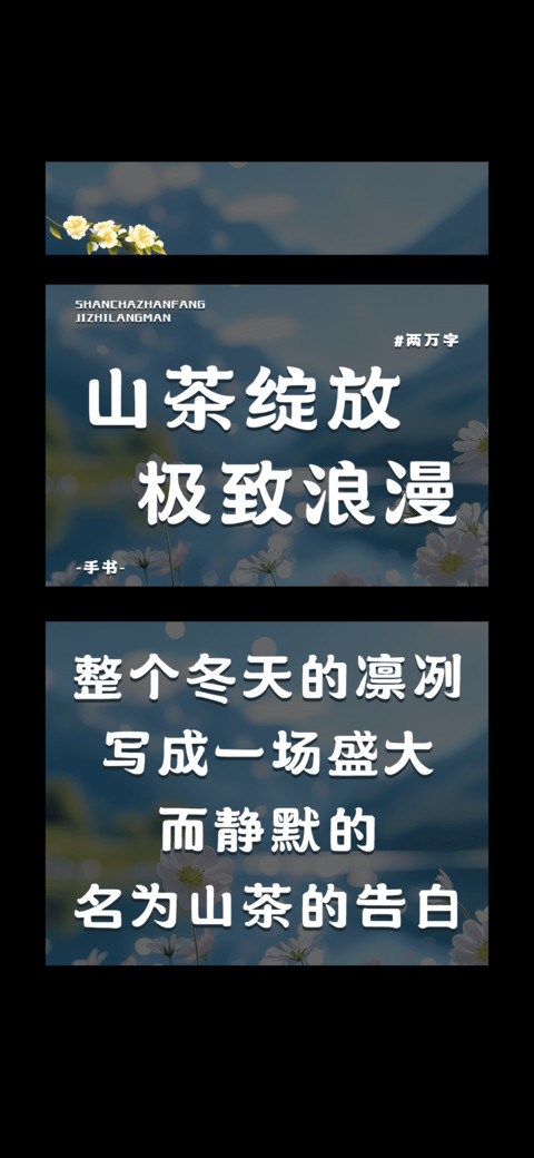山茶绽放极致浪漫 screenshot