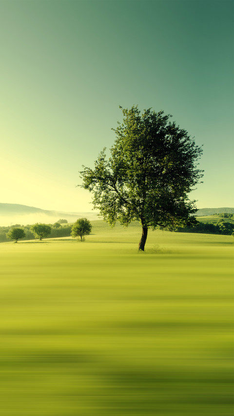 Green morning screenshot