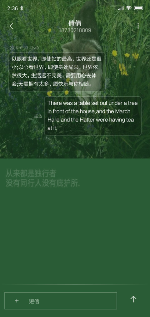 原谅绿 screenshot