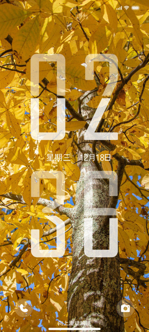 向上生长 双时间 screenshot
