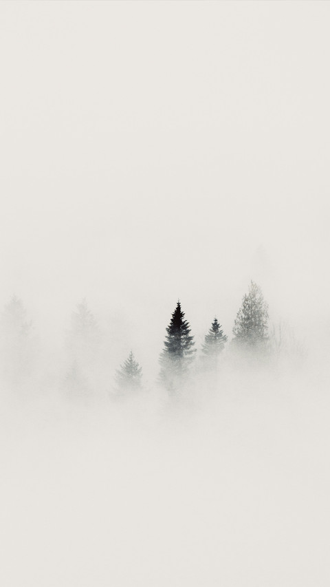 大自然风景-顶晟科技 screenshot