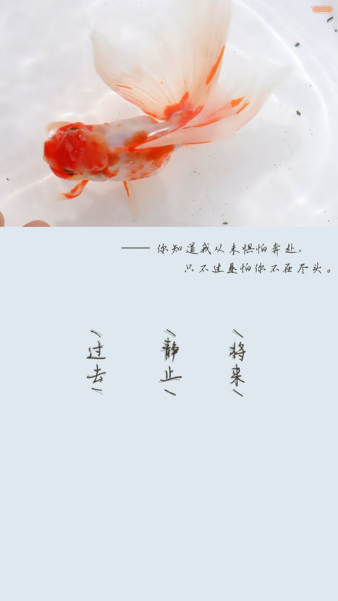 七秒记忆的鱼 数字密码锁屏+天气音乐 wp自由桌面全图标 screenshot