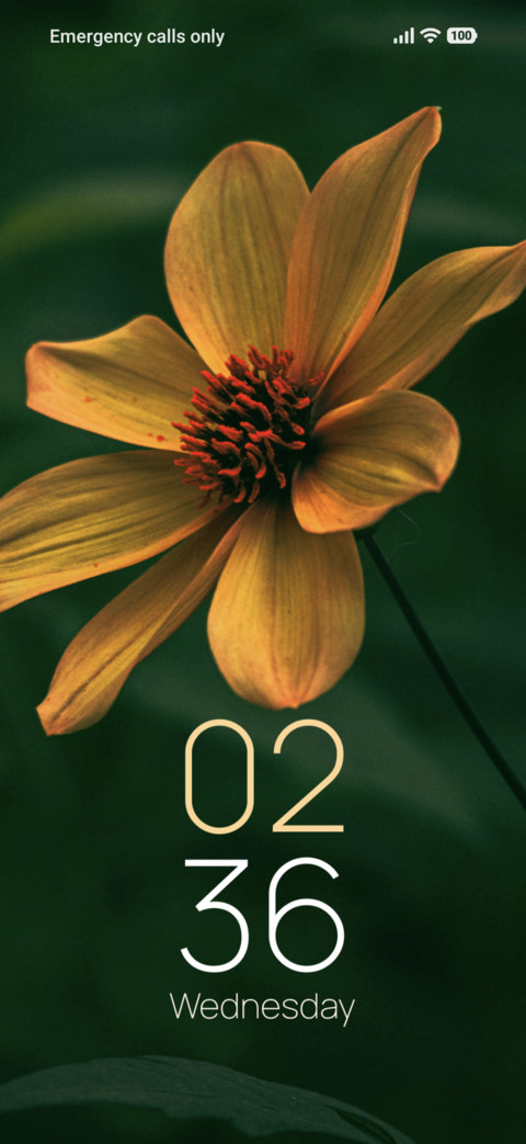 Golden Blossom screenshot