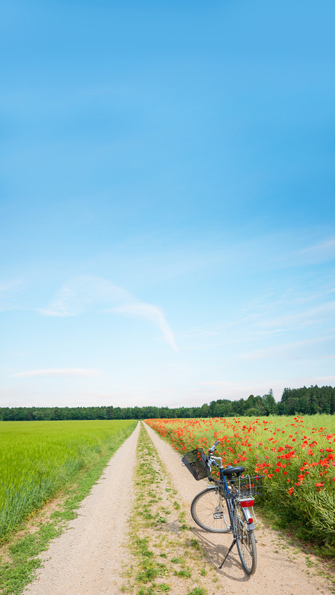 Good scenery in spring-01 screenshot