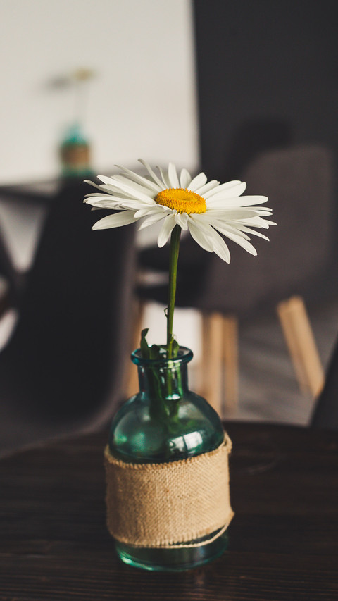 Beautiful flowers-01 screenshot