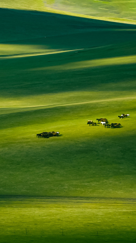 Hulunbuir Light and Shadow Grassland screenshot