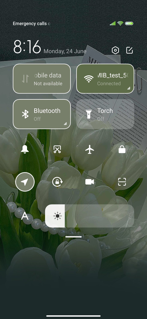 Vitality of spring screenshot