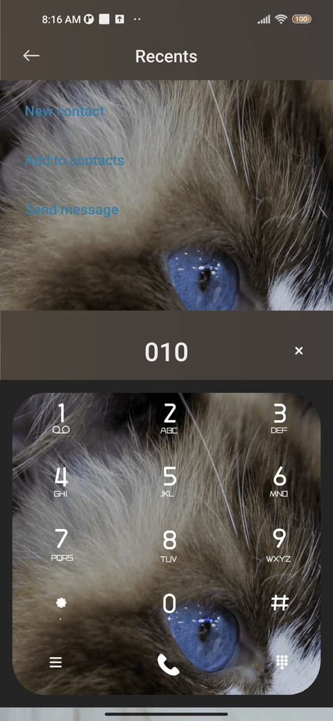 Fur cat screenshot