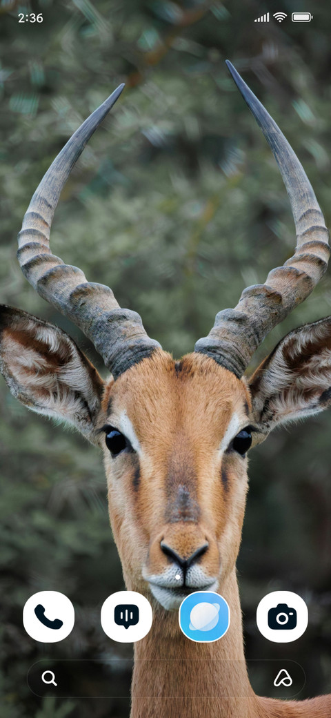 Royal Antlers screenshot