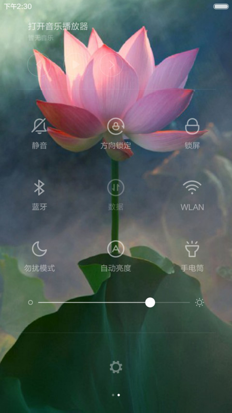 一念心清静，莲花处处开 screenshot