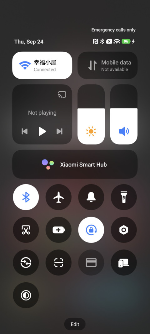 Business Red OS screenshot