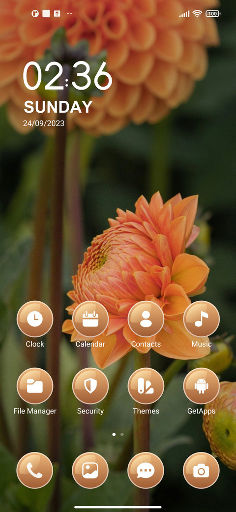 Orange Dahalias screenshot