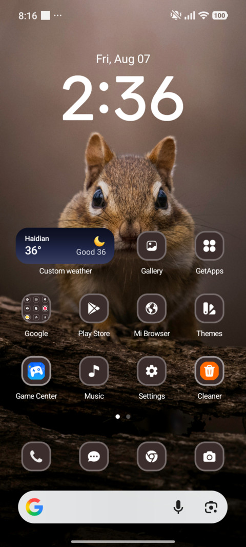 Cute Squirrel screenshot