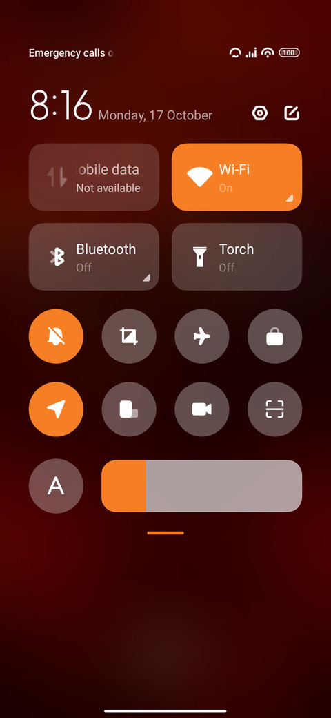 Diwali Puja screenshot