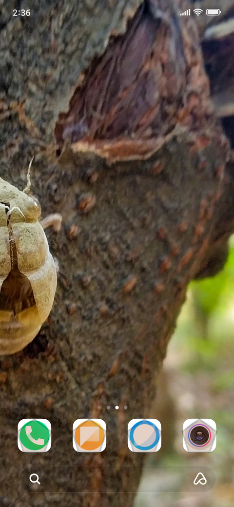 Insect screenshot