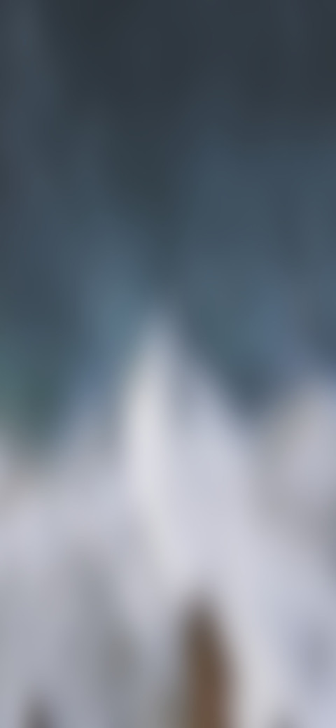 流白 screenshot