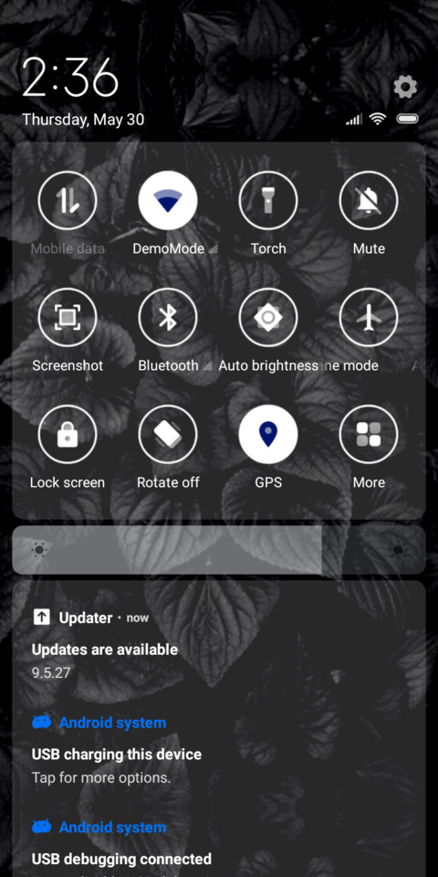Black Roses_DWM19 screenshot