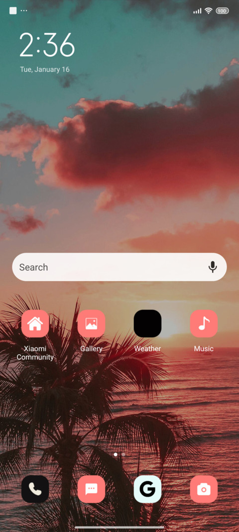 Coconut Bank love screenshot