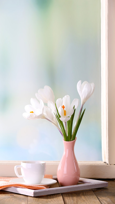 White crocus in vase on windowsill background screenshot