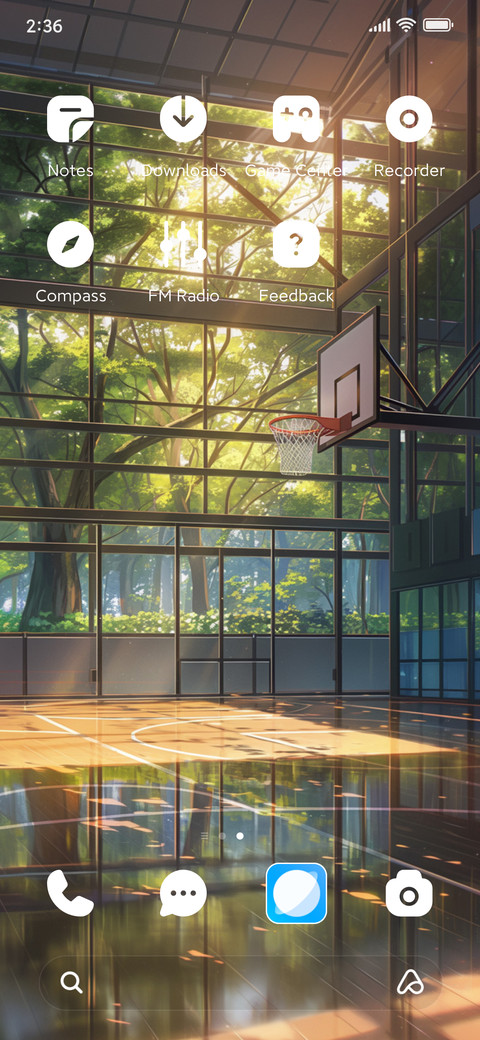 basketball court screenshot