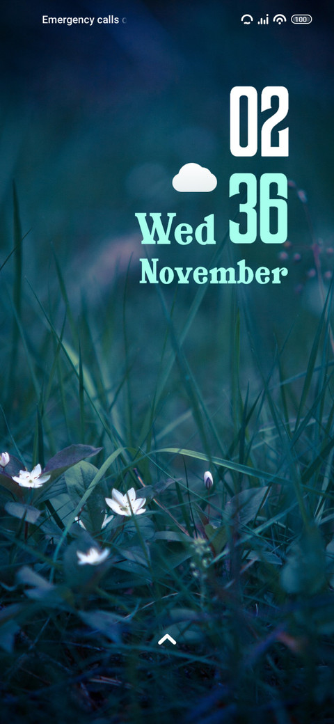 Dawn Flower screenshot