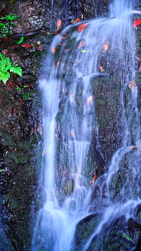 Natural wandering screenshot