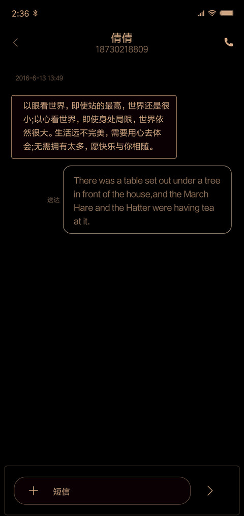 极简黑金 screenshot