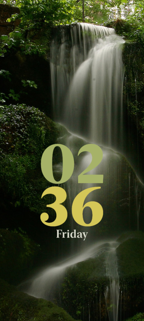 Forest Waterfall screenshot