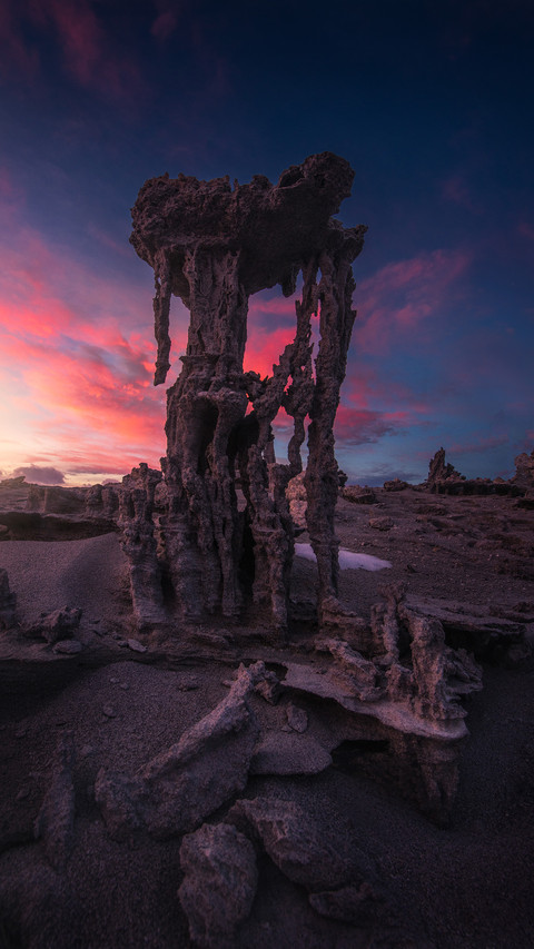 Sand grey flower sculpture screenshot