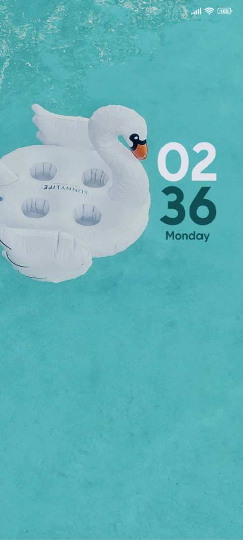 Summer Duck screenshot