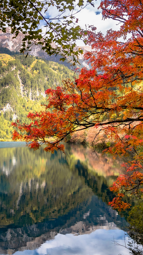 Jiuzhaigou Mirror Lake screenshot
