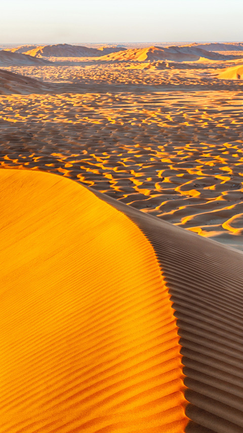 Pure desert screenshot