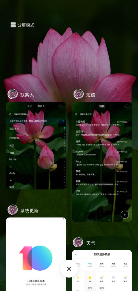 映日荷花别样红 screenshot