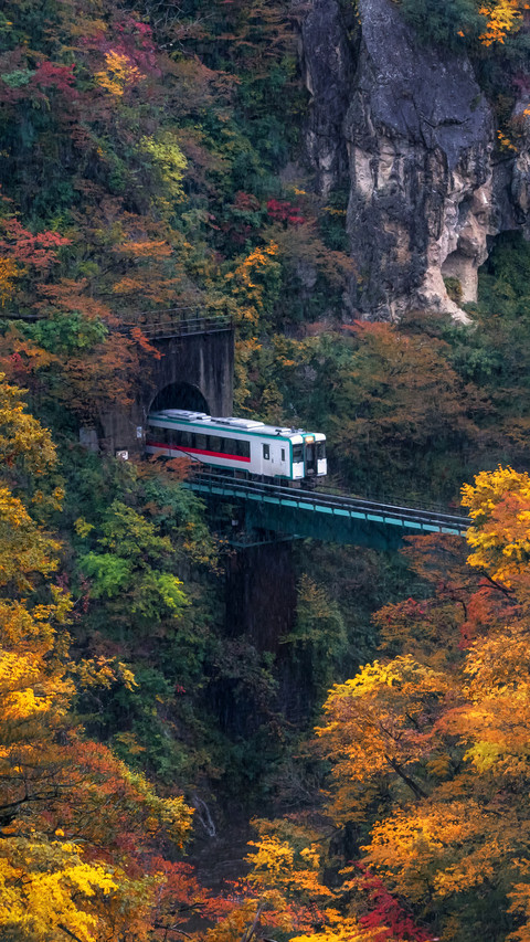 Train Passing Through The Tunnel screenshot