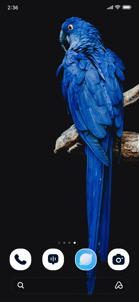 Blue Parrot screenshot