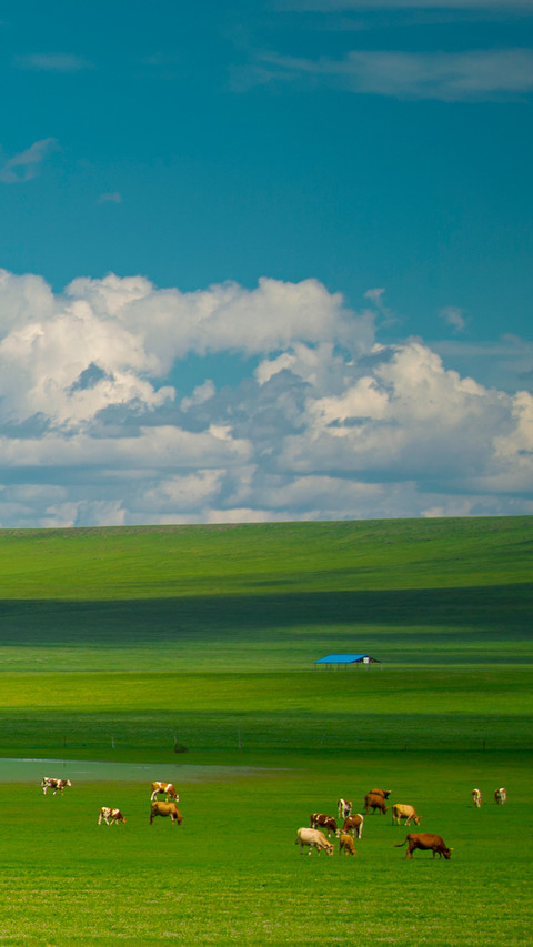 Tianbian pasture screenshot