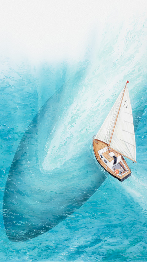 International-sailing screenshot
